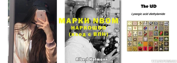 гидра Алексеевка
